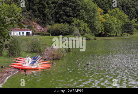Bateaux colorés sur la rive du lac de Furnas (Lagoa das Furnas) sur l'île de São Miguel, Açores, Portugal. Banque D'Images