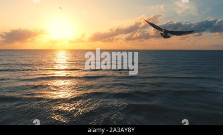 Mouette sur la mer - vue aérienne du paysage marin. Banque D'Images