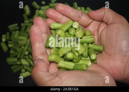 Couper les légumes Haricots verts longs de droit Banque D'Images