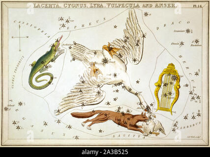 Sidney Hall - Urania's Mirror - Lacerta, Cygnus, Lyra, Vulpecula et Anser Banque D'Images