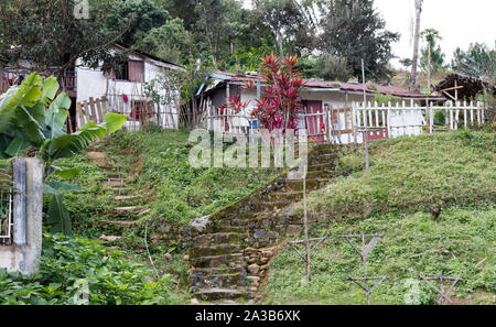 De simples maisons pour les pauvres, Madagascar, Afrique Banque D'Images