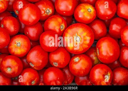 Un tas de tomates close up Banque D'Images