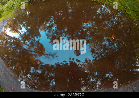 Vue sur le lac de l'antenne. Lac en forêt. Image tonique Banque D'Images