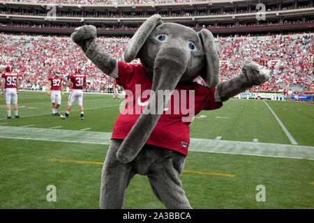 Depuis les années 1930, Big Al, l'Alabama Crimson Tide mascotte de l'équipe de football a applaudi l'équipe à la victoire à l'Université de l'Alabama, Tuscaloosa, Alabama Banque D'Images