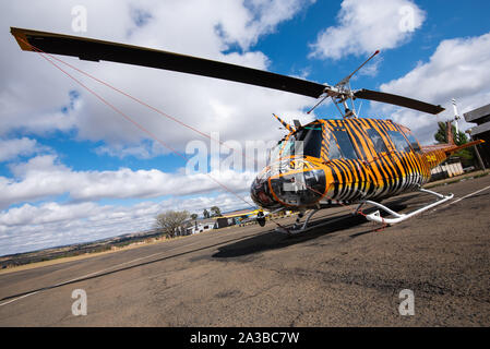 Vryheid, Afrique du Sud, 1er octobre 2019. Un hélicoptère Huey Bell avec un travail de peinture personnalisé motif tigre est prête pour l'action au cours de la saison de lutte contre les incendies dans la région de Vryheid, Afrique du Sud. Bell hélicoptères Huey sont un modèle développé pour les militaires américains et largement utilisés pendant et après la guerre du Vietnam. Banque D'Images