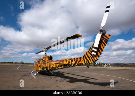 Vryheid, Afrique du Sud, 1er octobre 2019. Un hélicoptère Huey Bell avec un travail de peinture personnalisé motif tigre est prête pour l'action au cours de la saison de lutte contre les incendies dans la région de Vryheid, Afrique du Sud. Bell hélicoptères Huey sont un modèle développé pour les militaires américains et largement utilisés pendant et après la guerre du Vietnam. Banque D'Images