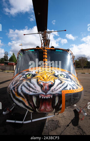 Vryheid, Afrique du Sud, 1er octobre 2019. Un hélicoptère Huey Bell avec un travail de peinture personnalisé motif tigre est prête pour l'action au cours de la saison de lutte contre les incendies dans la région de Vryheid, Afrique du Sud. Bell hélicoptères Huey sont un modèle développé pour les militaires américains et largement utilisés pendant et après la guerre du Vietnam. Banque D'Images