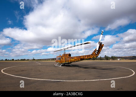 Vryheid, Afrique du Sud, 1er octobre 2019. Un hélicoptère Huey Bell avec un travail de peinture personnalisé motif tigre est prête pour l'action au cours de la saison de lutte contre les incendies dans la région de Vryheid, Afrique du Sud. Bell hélicoptères Huey sont un modèle développé pour les militaires américains et largement utilisés pendant et après la guerre du Vietnam. Banque D'Images