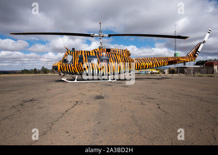 Vryheid, Afrique du Sud, 1er octobre 2019. Un hélicoptère Huey Bell avec un travail de peinture personnalisé motif tigre est prête pour l'action au cours de la saison de lutte contre les incendies dans la région de Vryheid, Afrique du Sud. Bell hélicoptères Huey sont un modèle développé pour les militaires américains et largement utilisés pendant et après la guerre du Vietnam. Banque D'Images