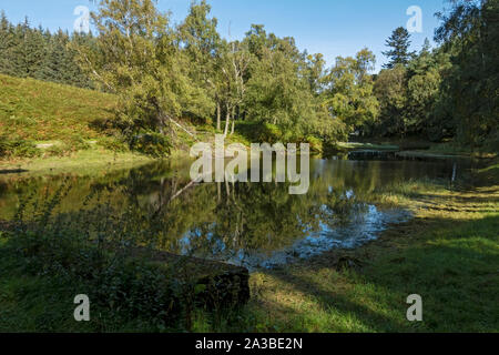 Lanty’s Tarn près de Glenridding en été Lake District National Park Cumbria Angleterre Royaume-Uni Grande-Bretagne Banque D'Images