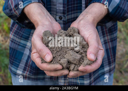 Les mains des agriculteurs avec le sol dans les paumes close-up , homme mains avec sol fertile Banque D'Images