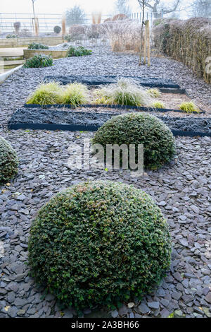 Élégant et contemporain, l'aménagement paysager et la plantation (herbes & yew) sur la frontière herbacées - jardin d'hiver couvert de givre, Yorkshire, Angleterre, Royaume-Uni. Banque D'Images