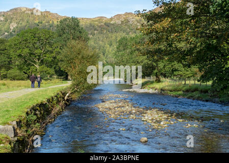 Les gens marchent à côté de la rivière Derwent sur la Cumbria Way en été près de Rosthwaite Borrowdale Lake District Cumbria Angleterre Royaume-Uni Banque D'Images