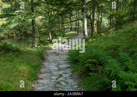 Cumbria Way sentier de promenade à côté de la rivière Derwent près de Grange Borrowdale Lake District National Park Cumbria Angleterre Royaume-Uni Grande-Bretagne Banque D'Images