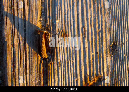 Clou rouillé en planche de bois. Close up Banque D'Images