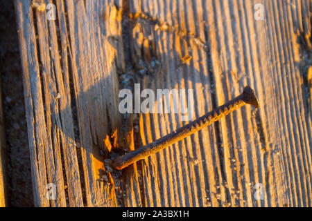 Clou rouillé en planche de bois. Close up Banque D'Images