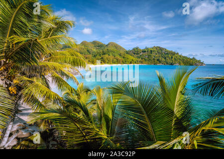 Belle Anse Intendance exotique tropical beach sur l'île de Mahé, Seychelles. Le feuillage luxuriant des cocotiers en premier plan Banque D'Images