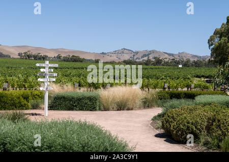 Les collines au loin et de rangées de vignes à la cave de Jacobs dans la région viticole de la Barossa Valley en Australie du Sud. Il y a environ 150 établissements vinicoles de la B Banque D'Images