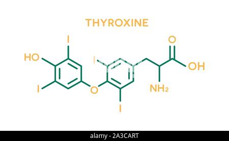 Formule moléculaire de l'hormone thyroxine. Symbole d'hormones du corps humain Illustration de Vecteur