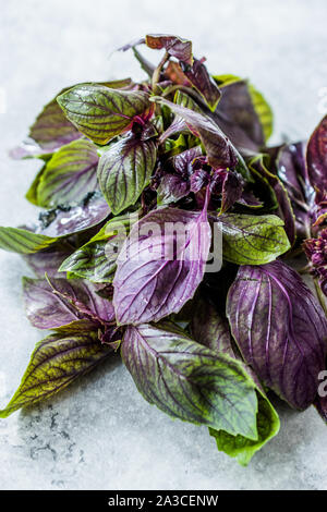 Bouquet de feuilles de basilic pourpre Violet / Prêt à l'emploi. Produit biologique. Banque D'Images