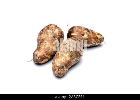 Le Taro est une des cultures racines amylacées comestibles avec feuilles et a fourni une bonne nutrition pour les insulaires du Pacifique depuis des centaines d'années. Banque D'Images