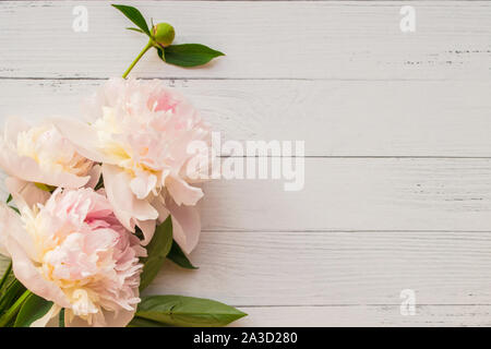 Bouquet romantique de pivoines sur fond de bois léger avec copyspace Banque D'Images