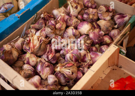 Détail d'un fort d'ail biologique sur un étal du marché français Banque D'Images