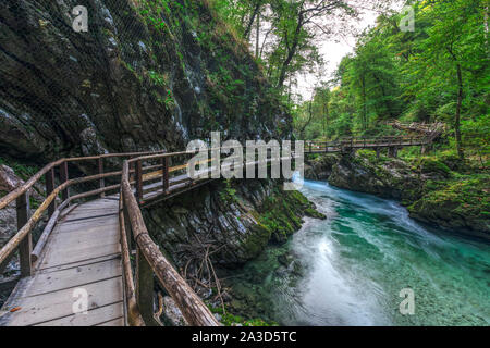 Gorges de Vintgar, Bled, Haute-Carniole, Slovénie, Europe Banque D'Images