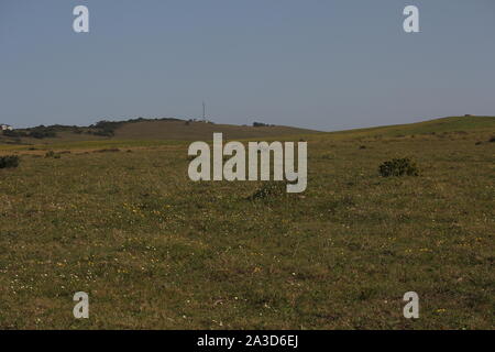 Prairies par des arbustes envahissants près de Boknes, Eastern Cape, Afrique du Sud Banque D'Images