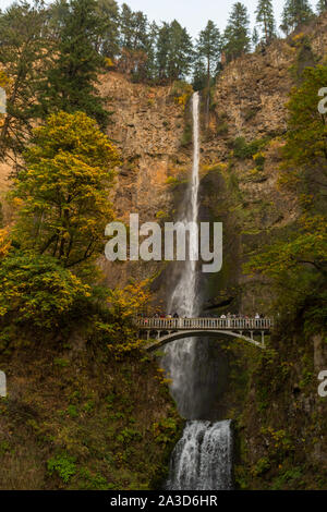 Vue complète des deux niveaux de la cascade de Multnomah et le pont entre eux situé dans la gorge du Columbia Banque D'Images