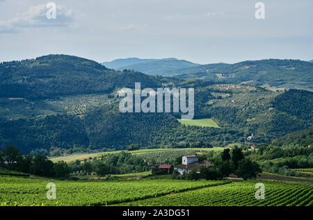 Vinery colorés et plantation house ferme entourée d'arbres de la vallée vallonné Banque D'Images