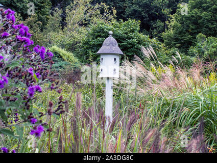 Une jolie maison d'oiseau blanc se trouve dans un domaine de l'automne d'herbes et de fleurs sauvages , dans le Michigan USA Banque D'Images