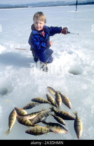 Jeune garçon à la pêche sur glace avec la perchaude qu'il a capturé sur réservoir Cascade, Colorado (MR) Banque D'Images