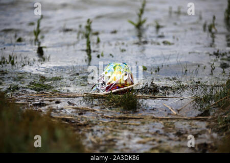 Un ballon d'anniversaire en plastique qui s'est échoué sur une rive du fleuve à la création d'un risque environnemental pour la faune Banque D'Images