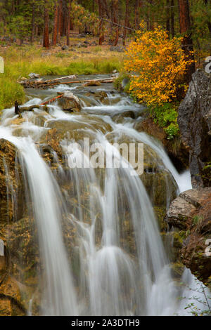 Tombe sur Paulina Creek à McKay de camping de passage, la Forêt Nationale de Deschutes, Oregon Banque D'Images