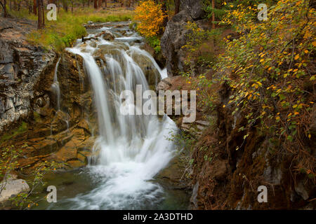 Tombe sur Paulina Creek à McKay de camping de passage, la Forêt Nationale de Deschutes, Oregon Banque D'Images