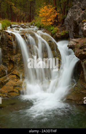 Tombe sur Paulina Creek à McKay de camping de passage, la Forêt Nationale de Deschutes, Oregon Banque D'Images