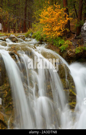 Tombe sur Paulina Creek à McKay de camping de passage, la Forêt Nationale de Deschutes, Oregon Banque D'Images