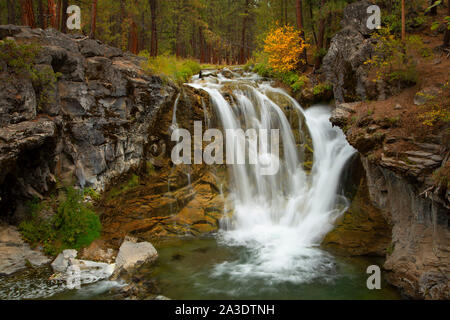 Tombe sur Paulina Creek à McKay de camping de passage, la Forêt Nationale de Deschutes, Oregon Banque D'Images