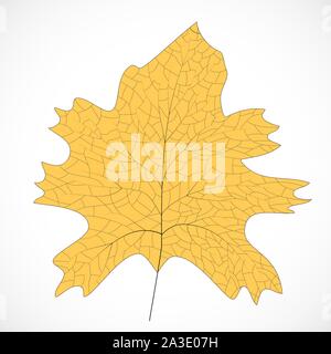 Floral frame design. Isolés feuilles illustration élément. Silhouette vecteur. Eco design vector illustration. Texture organique. Icône feuille nature Illustration de Vecteur