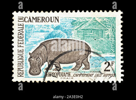 Timbre-poste imprimé par le Cameroun, qui montre d'hippopotame, circa 1962. Banque D'Images