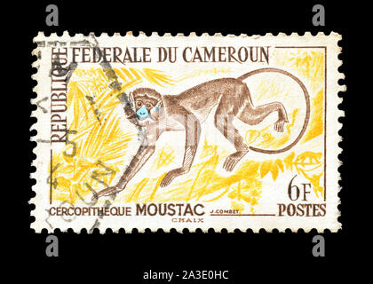 Timbre-poste imprimé par le Cameroun, qui montre Tyranneau Guénon, vers 1962. Banque D'Images