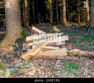 Bois de chauffage empilé sur le sol dans une forêt en Allemagne Banque D'Images