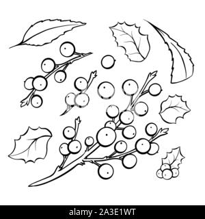 Le gui hand drawn vector illustrations set. Les grappes et les baies naturelles coloriage feuilles photo. Décoration de Noël traditionnel plant dessins noir et blanc pack. Nouvelle année, noël symbole contour Illustration de Vecteur