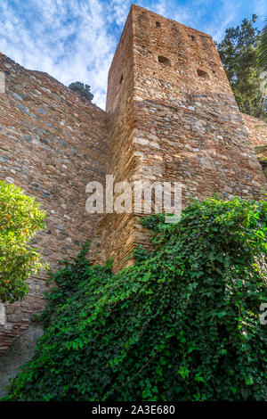 Vue aérienne de l'Alcazaba de Malaga et le Castillo de Gibralfaro mauresque de l'époque arabe dans le sud de l'Espagne Banque D'Images