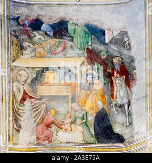 La naissance du Christ, cycle de fresques sur la vie de Marie par Ottaviano Nelli, 1408-13, gothique, San Francesco, Gubbio, Province de Pérouse, Ombrie, Italie Banque D'Images