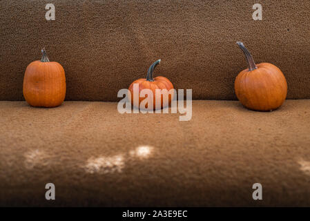 Les petites citrouilles sur un lit jaune Banque D'Images