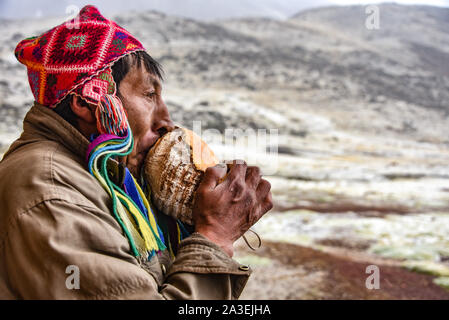 Un homme Quechua dans l'usure de la tête traditionnelle de coups sur une conque à accueillir les visiteurs à l'Huampacocha lodge. L'Ausangate, Cusco, Pérou Banque D'Images