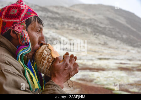 Un homme Quechua dans l'usure de la tête traditionnelle de coups sur une conque à accueillir les visiteurs à l'Huampacocha lodge. L'Ausangate, Cusco, Pérou Banque D'Images