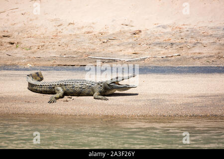 De la Crocodile Bank de sable à rivière Kunene, Namibie, Epupa Banque D'Images